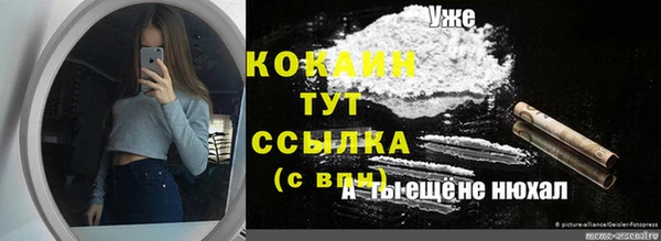 гидра Наволоки