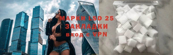 гидра Наволоки