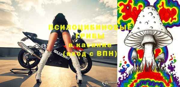 гидра Наволоки