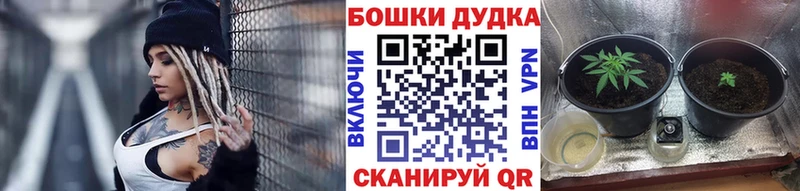 Бошки Шишки гибрид  дарнет шоп  Власиха 